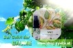 GEIST DER BÄUME I Aktion - 20% auf alle BAUM-Essenzen I AURA-Sprays I SYVITA Neue Welt Online-Shop jetzt bestellen!