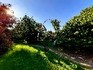 GEDANKENIMPULSE - ARACHAIFLOWER - STILLE SANFTMUT - Glaube mit Liebe verbinden...