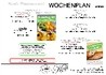 Mittagsmenüplan KW49
