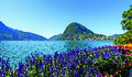 Über die Alpen von Davos an den Lago Maggiore