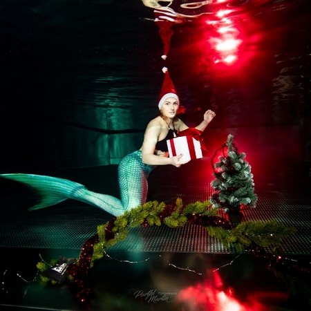 Großes Weihnachts-Unterwasserfotoshooting