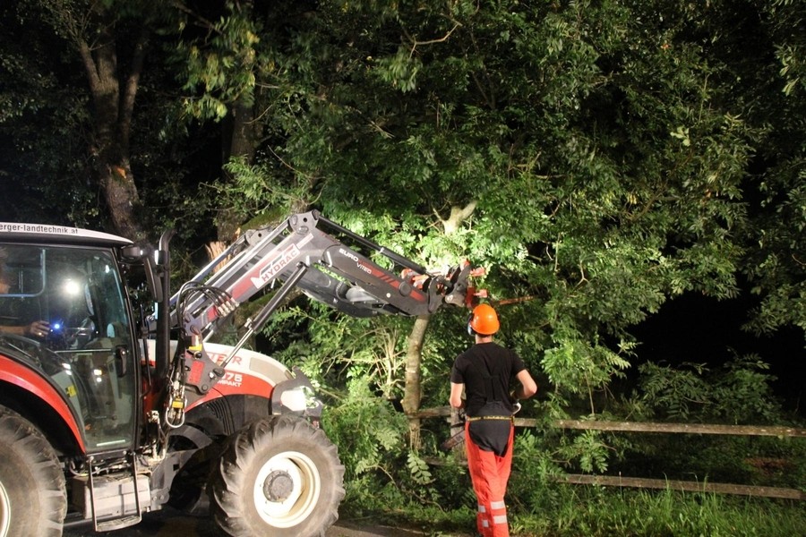 Einsatz: VU Traktor gegen Baum
