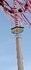 Maibaum aufstellen
