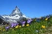 Zauber aus Eis und Granit
