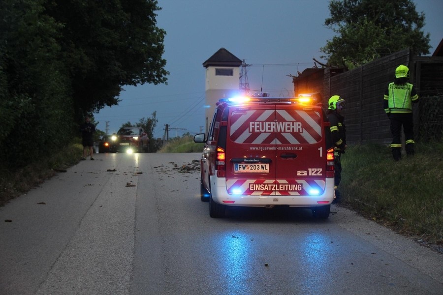 Einsatz: Baum über Straße