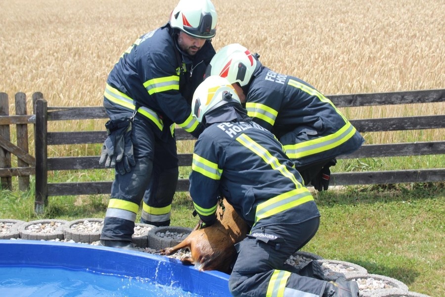 Einsatz: Tierrettung