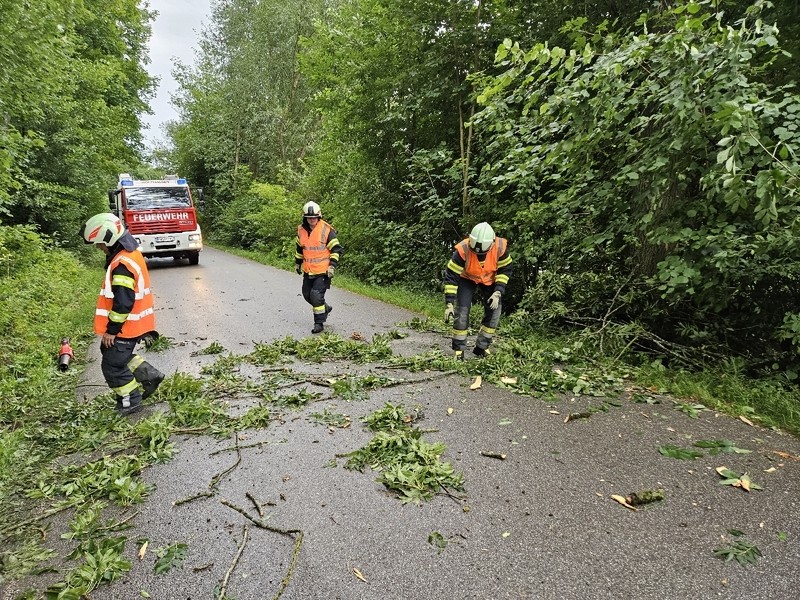 Einsatz: Sturmschaden