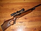 Weihrauch HW 100