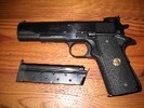 Colt Government
