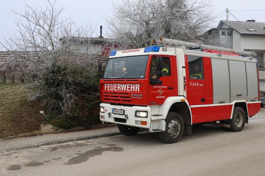 Einsatz: Reh in Pool