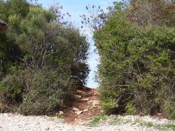 Hormonersatztherapie in /nach den Wechseljahren, bioidentisch/konventionell