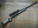 Gamo Viper Luftgewehr