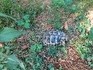 Landschildkröte gefunden!