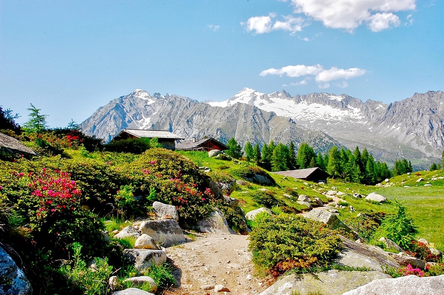 Klang der Berge