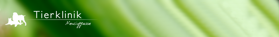 banner1