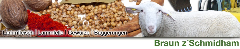 perner banner1
