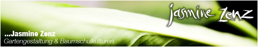 zenz banner
