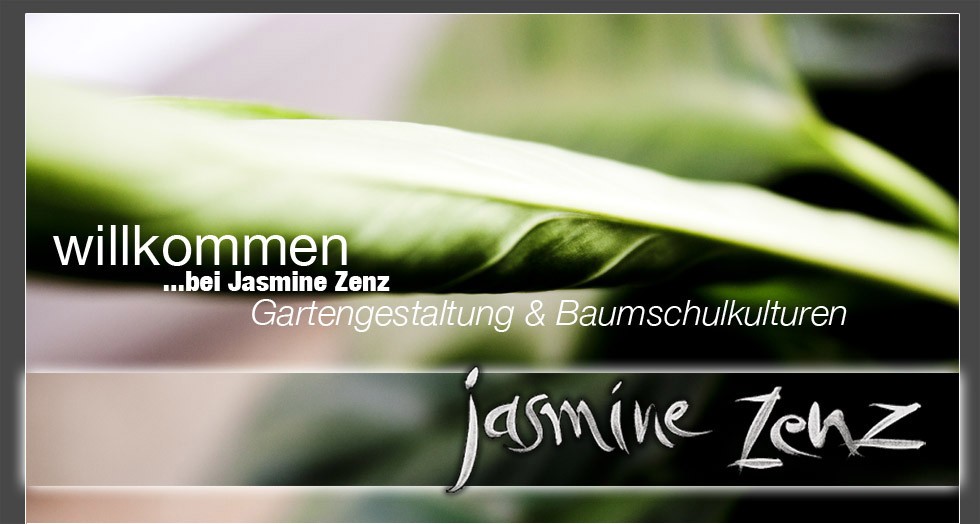 zenz start0