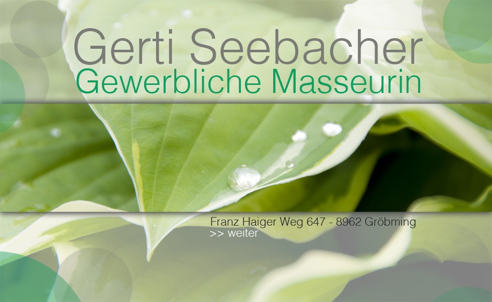 seebacher neu