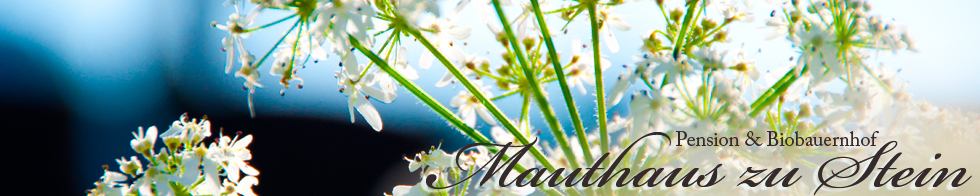mauthaus banner