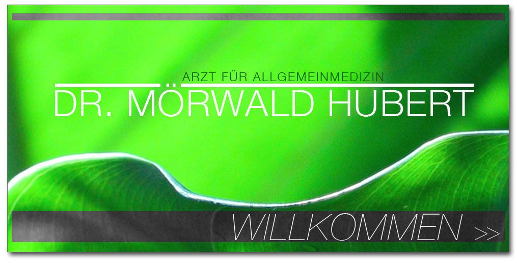 moerwaldhubert startseite