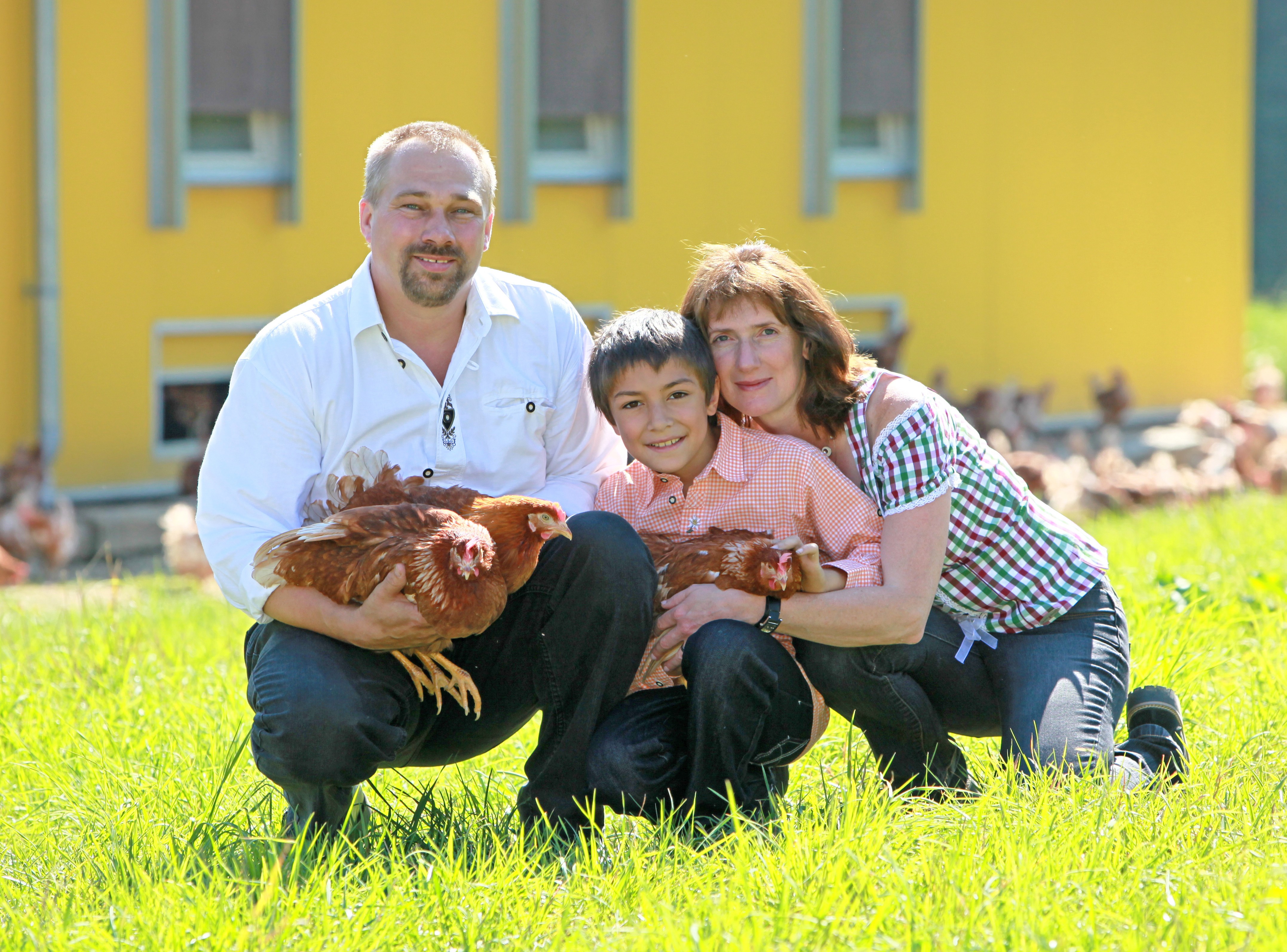 Landwirtschaft Fam. Schedlberger Foto2