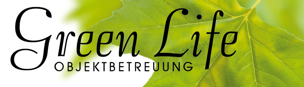 banner fertig