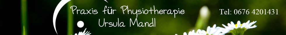 mandl physiotherapiebanner