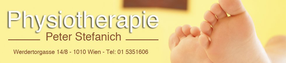 stefanich banner