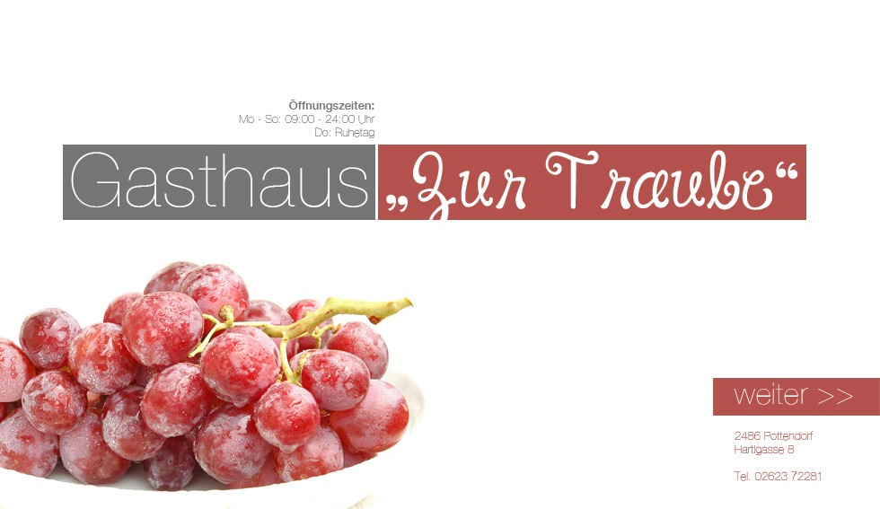 Gasthaus zur traube