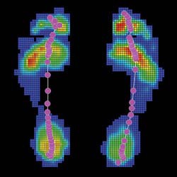 Scheinecker Orthopädie3