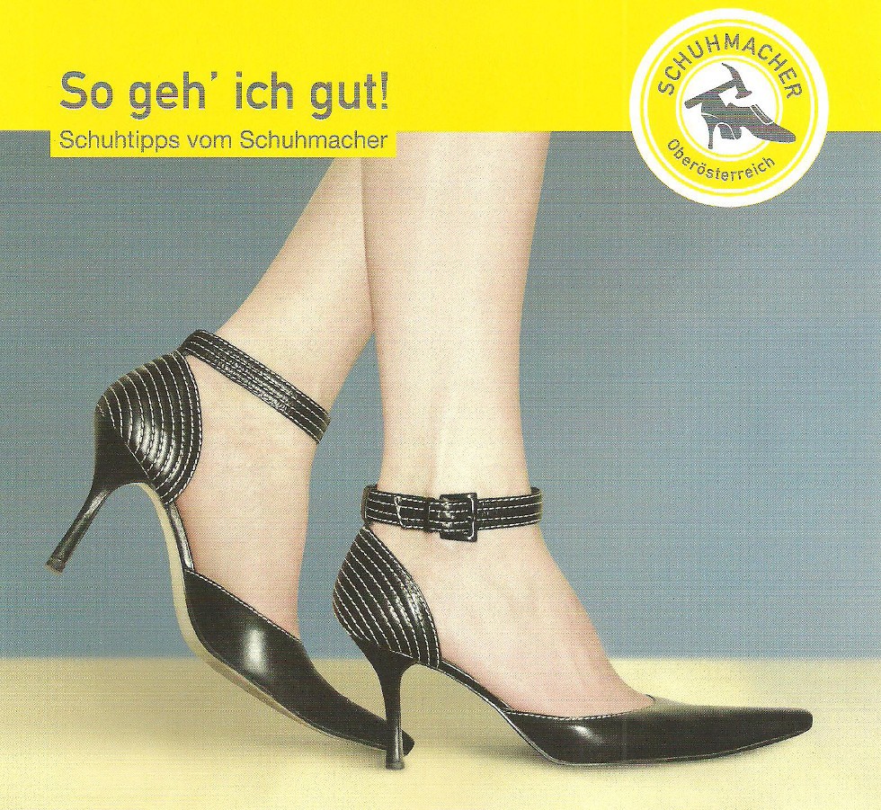 Scheinecker Reparatur