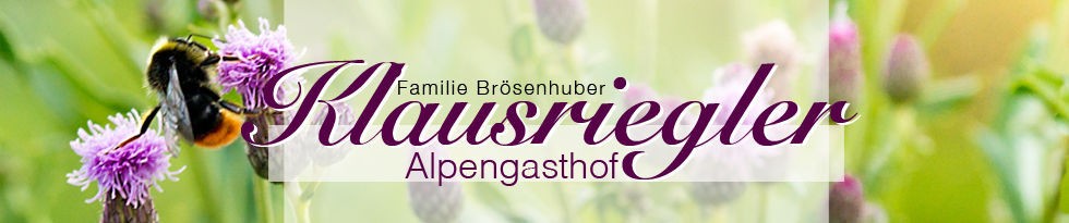 klausriegler banner
