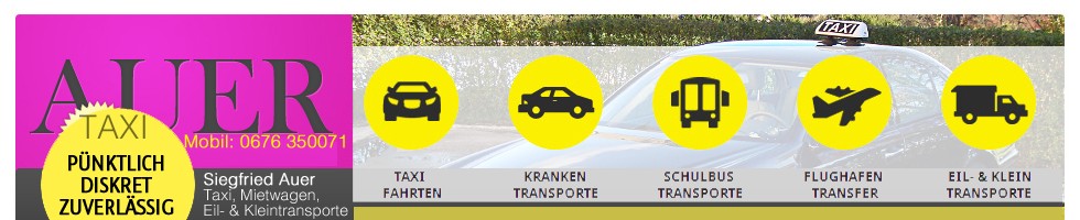 auer taxi trans Banner