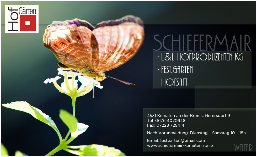 schiefermair start
