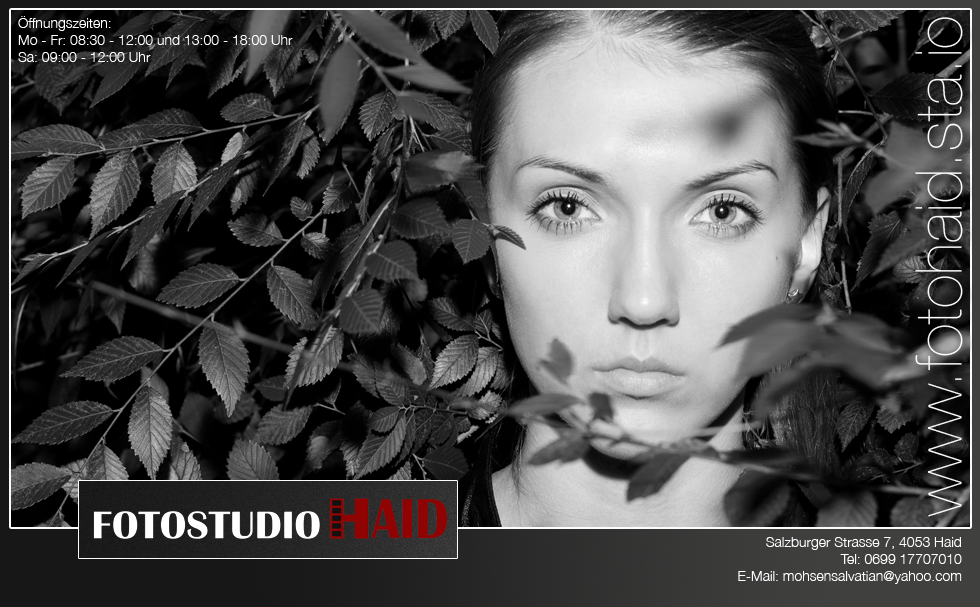 fotohaid copy