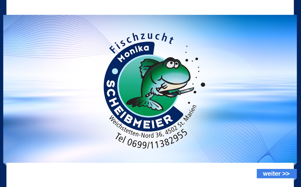 fisch scheibmeier copy