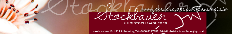 stockbauer gemuese banner copy