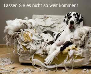 Problemhund