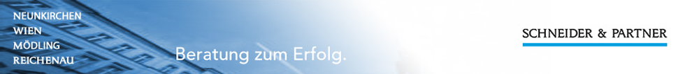 Schneider & Partner Banner
