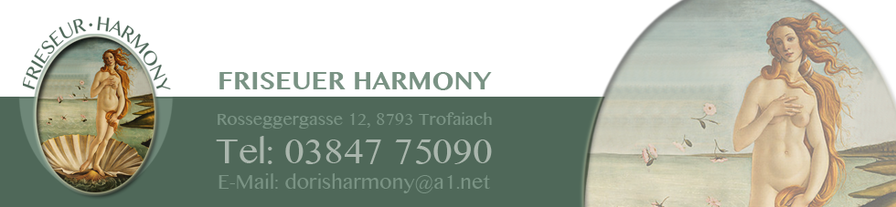 friseur harmony banner