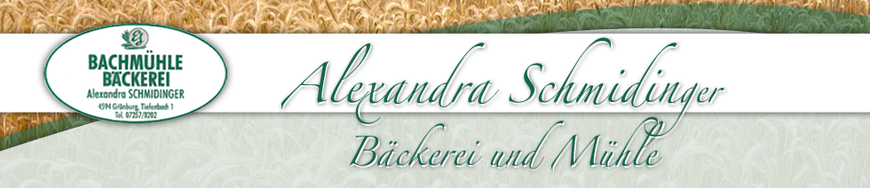 Alexandra Schmidinger Banner