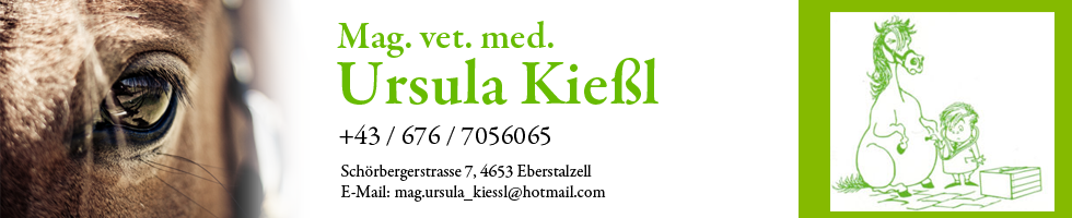 kießl banner neu