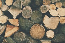 holz baumaterial