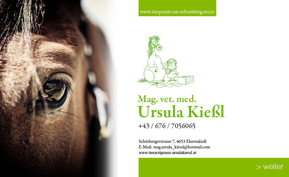 kieß start neu