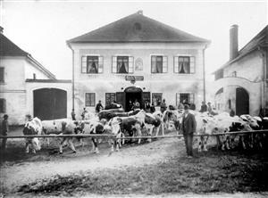 Alte Ansicht Gasthaus WEISS