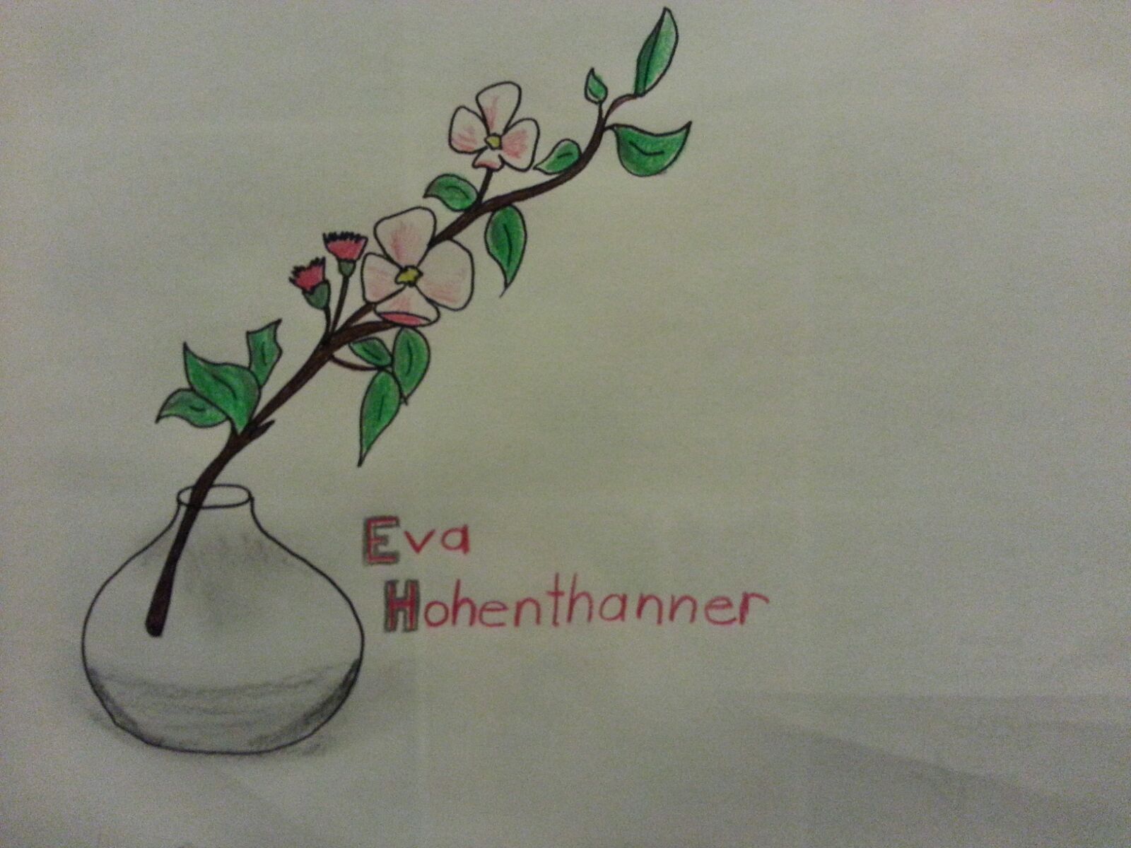 Eva Hohenthanner