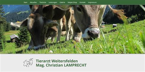 tierarzt weitersfelden (Individuell)