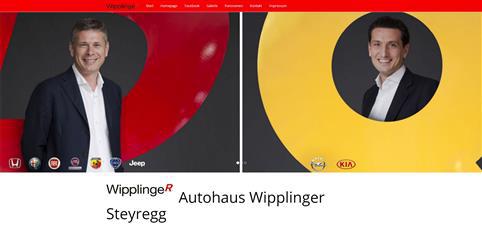 wipplinger steyregg (Individuell)