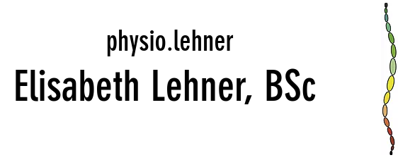 logo lehner